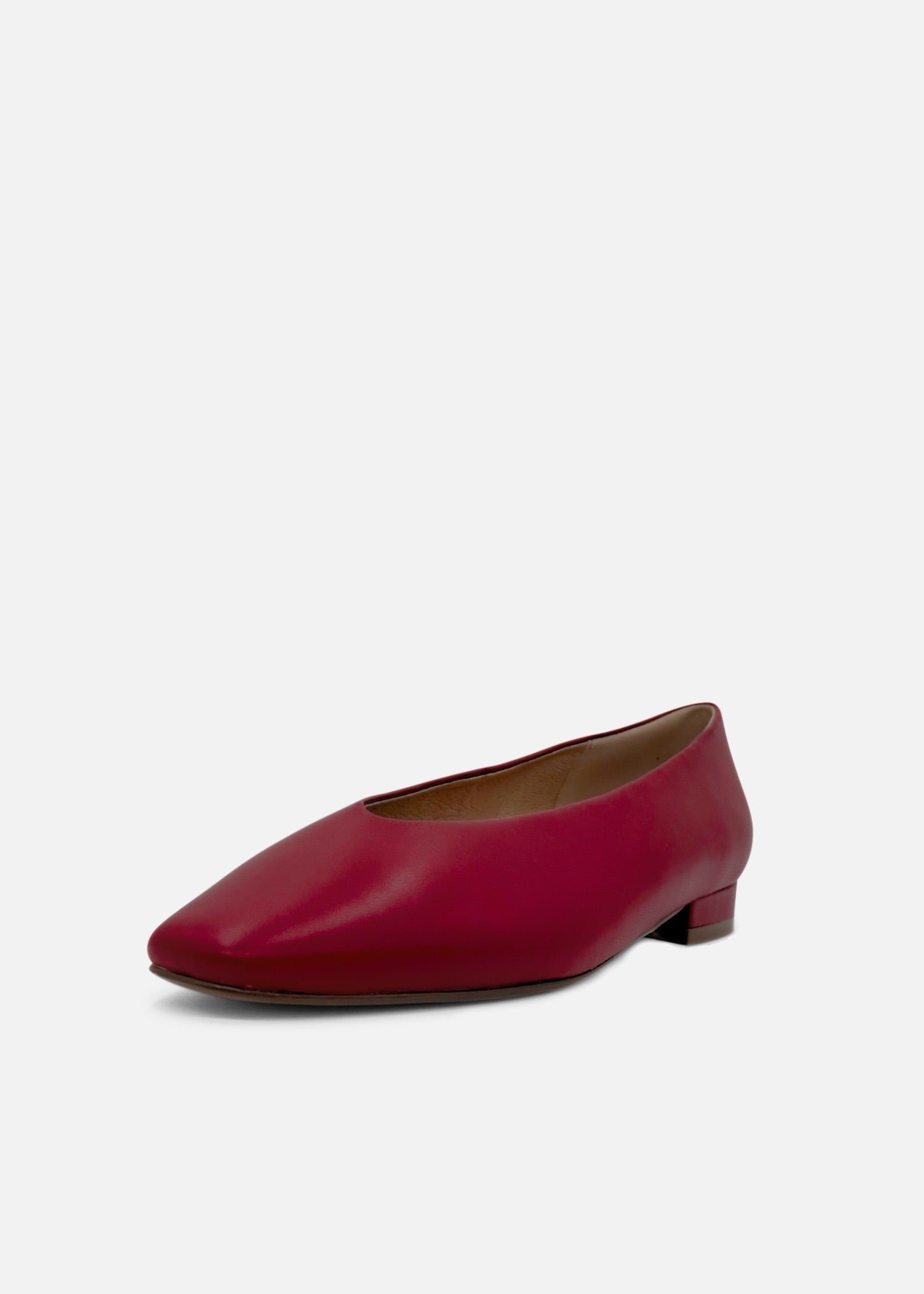 Slick Ballet Flats